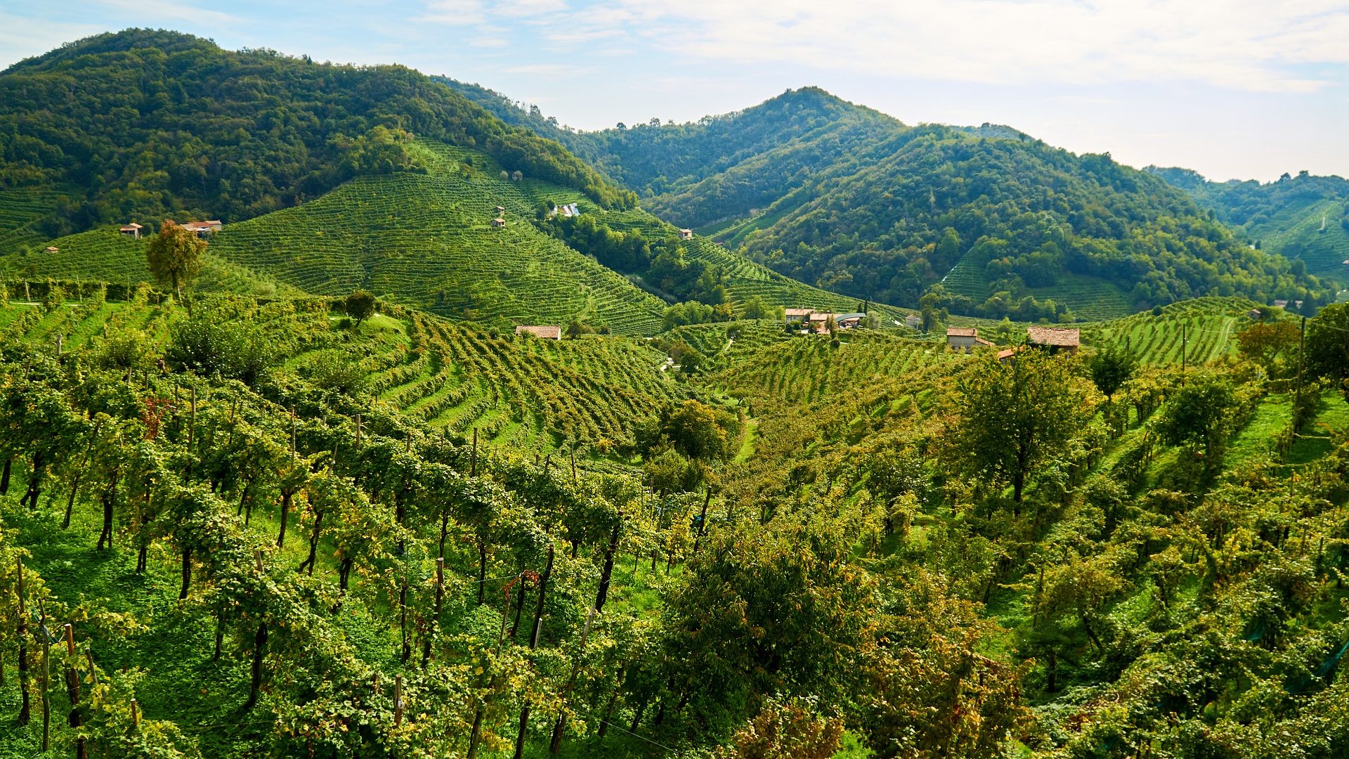 Walking the Prosecco Hills, Trekking the Prosecco Hills, Italy